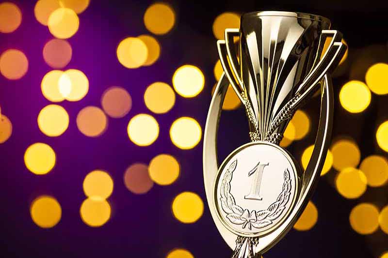 Awards and Jury