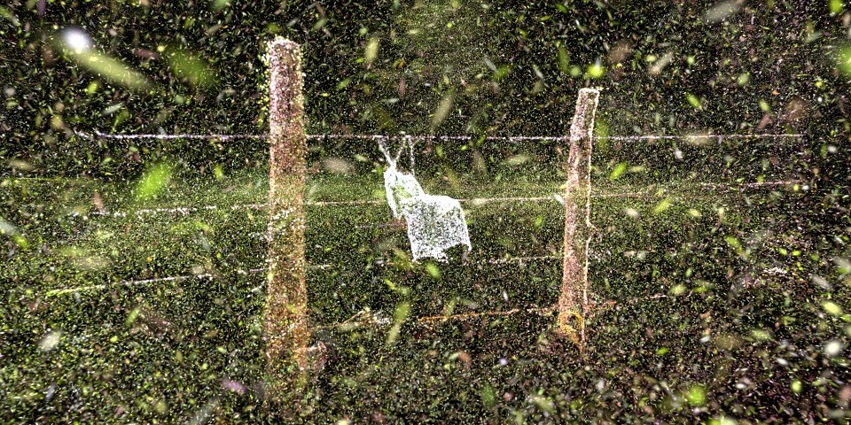 All my Scars Vanish in the Wind, Maria Angelica Restrepo & Carlos David Velandia - VAF Best Experimental 2023