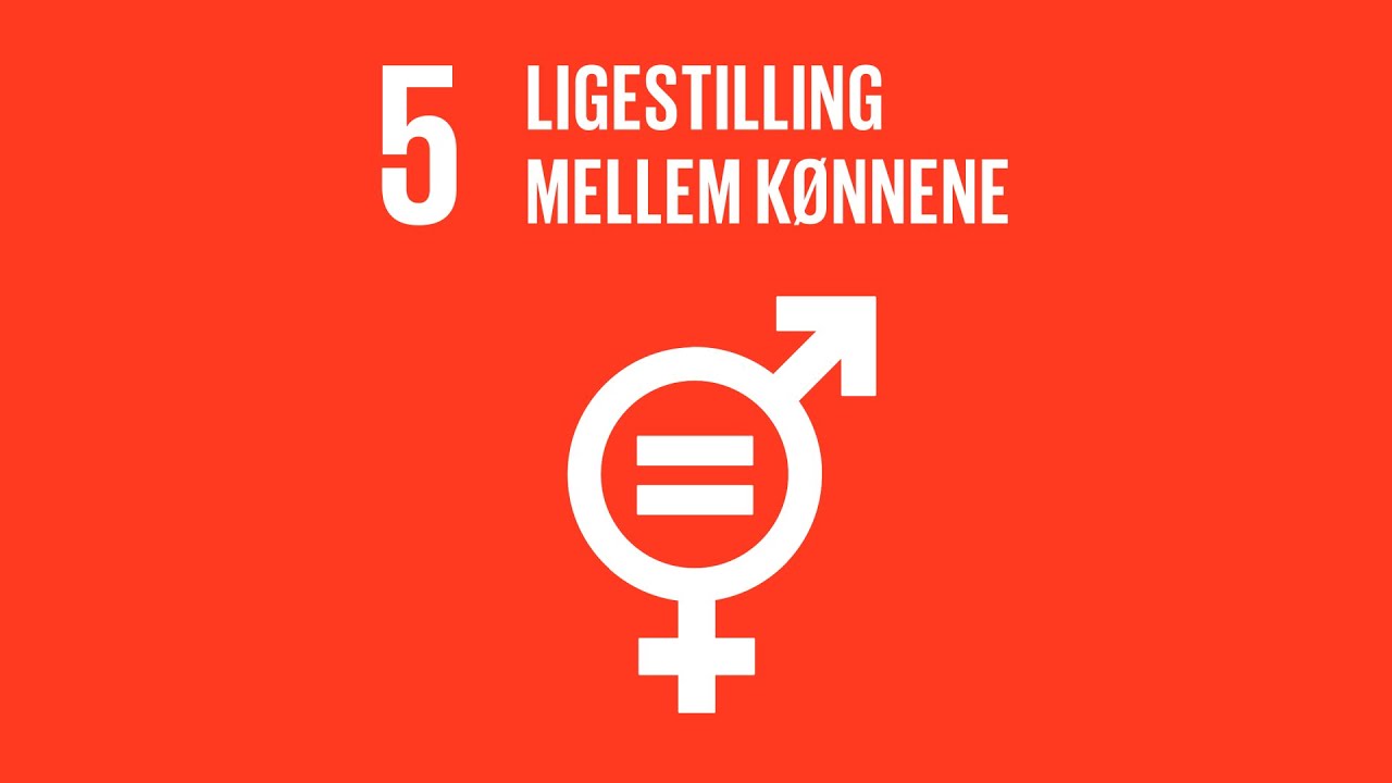 Om VAF sektionen har et billede af FN Verdensmål nr. 5, ligestilling mellem kønnene. 